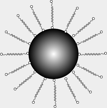 Gold Nanoparticles CTAB